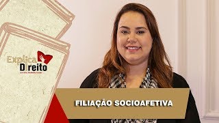 Explica Direito Filiação Socioafetiva  2019 [upl. by Tomasina242]